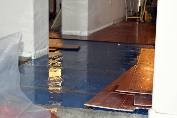 Professional Burst Pipe Cleanup technician working in Otter Lake, MI