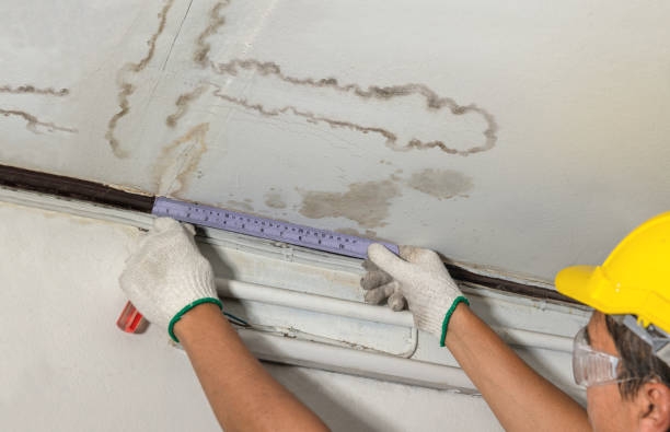 Reliable Burst Pipe Cleanup contractor in Otter Lake, MI by Local Water Damage Repair